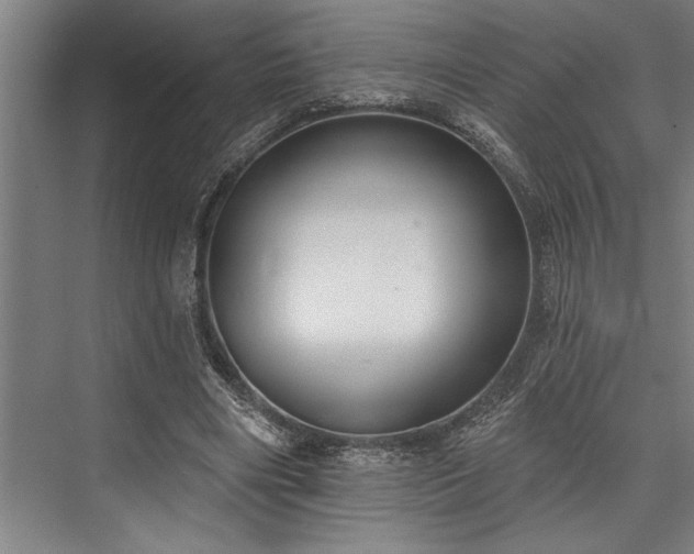 X0000076400490200610061221
