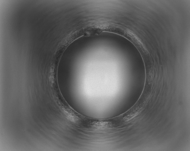 X0000076400497200610061220