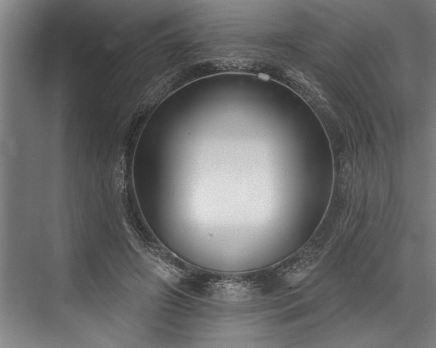 X0000076400498200610061220