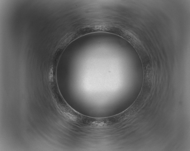 X0000076400502200610061220