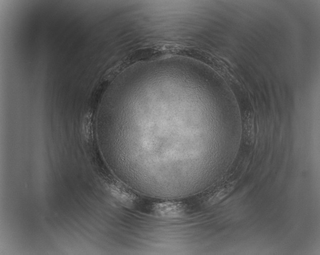 X0000076400511200610061220