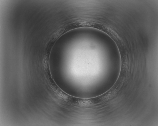 X0000076400513200610061220