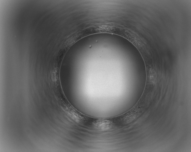 X0000076400514200610061220