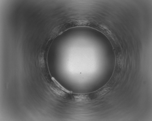 X0000076400516200610061220