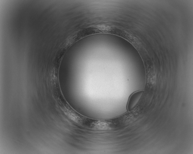 X0000076400518200610061220