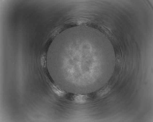 X0000076400527200610061220