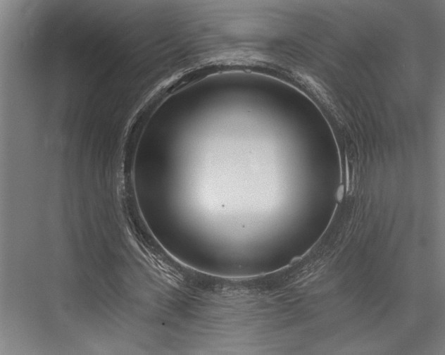 X0000076400531200610061219