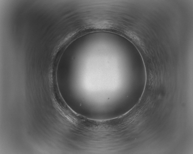 X0000076400535200610061219