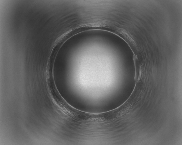 X0000076400536200610061219