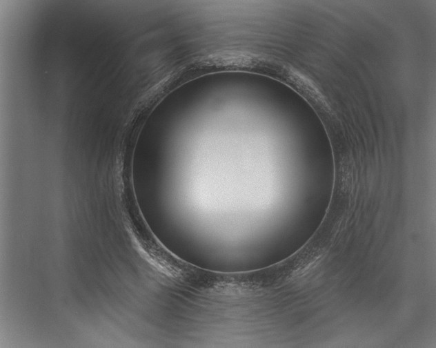 X0000076400538200610061219