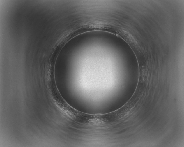 X0000076400544200610061219