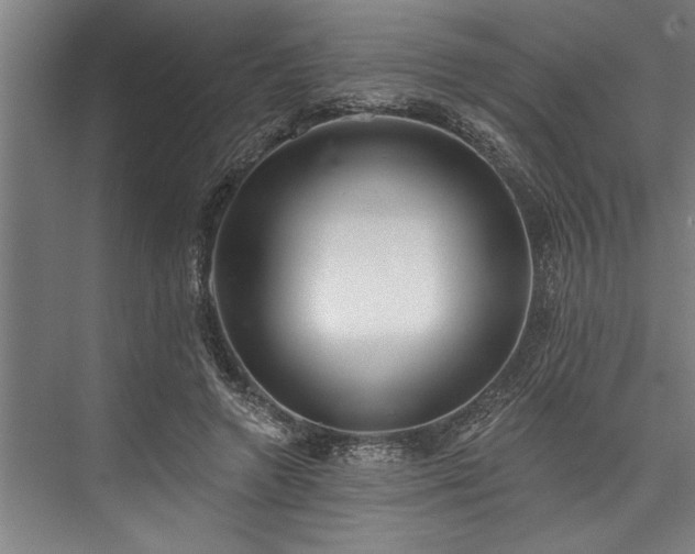 X0000076400546200610061219