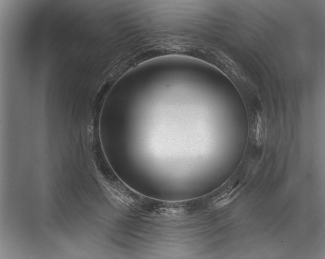 X0000076400552200610061219