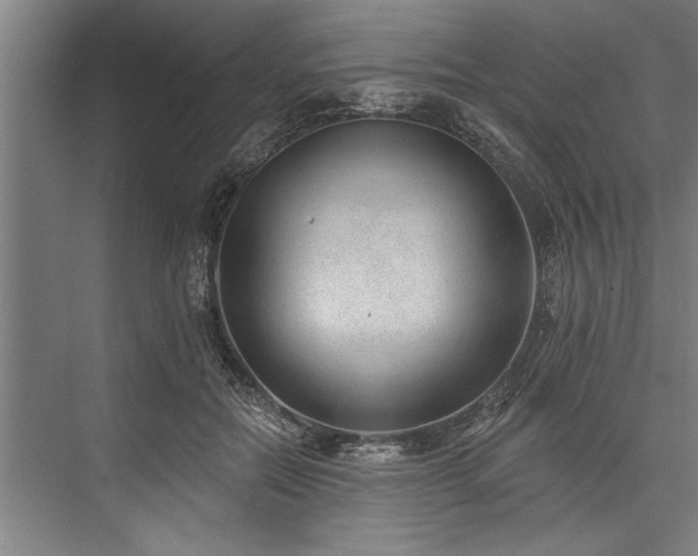 X0000076400554200610061219