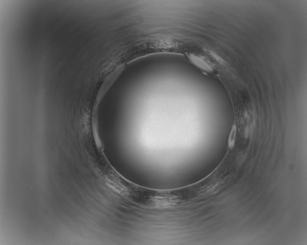 X0000076400556200610061220