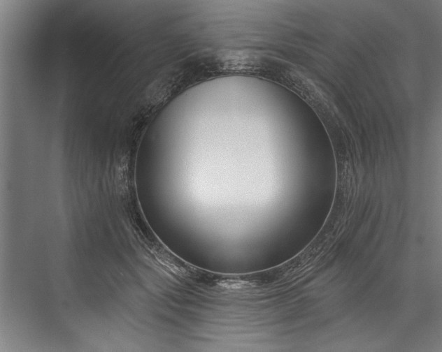 X0000076400557200610061220