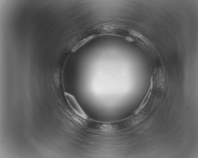X0000076400562200610061220