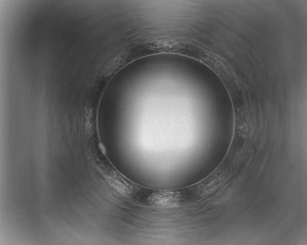 X0000076400563200610061220