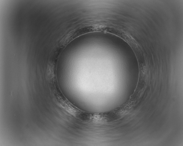 X0000076400565200610061220