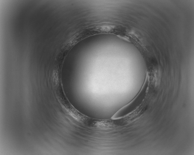 X0000076400568200610061220