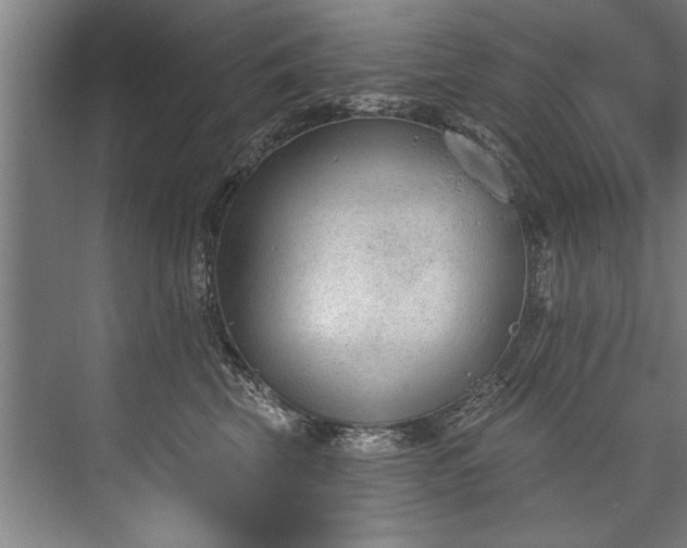 X0000076400569200610061220