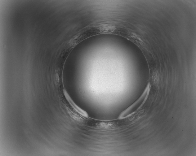 X0000076400570200610061220