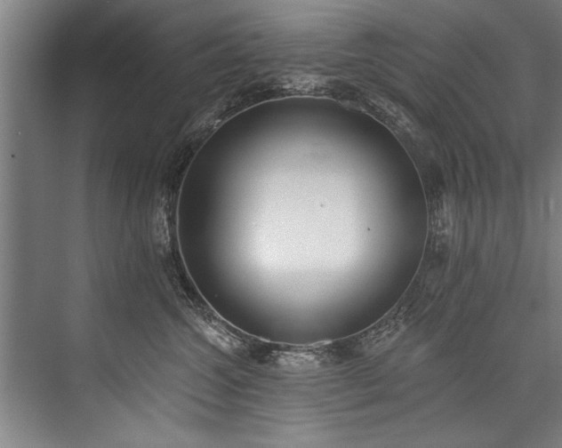 X0000076400572200610061220