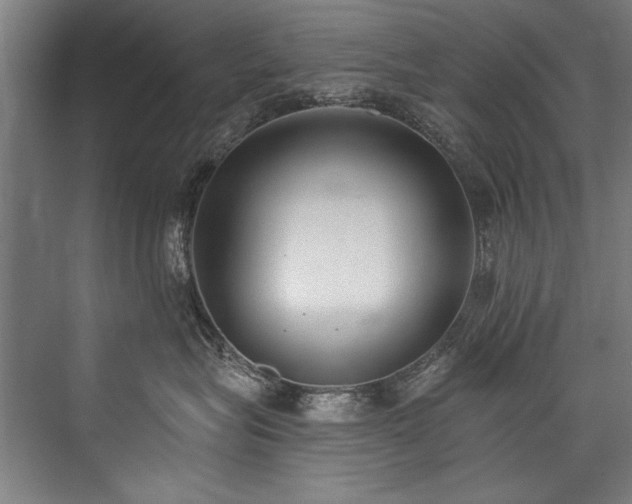 X0000076400575200610061220