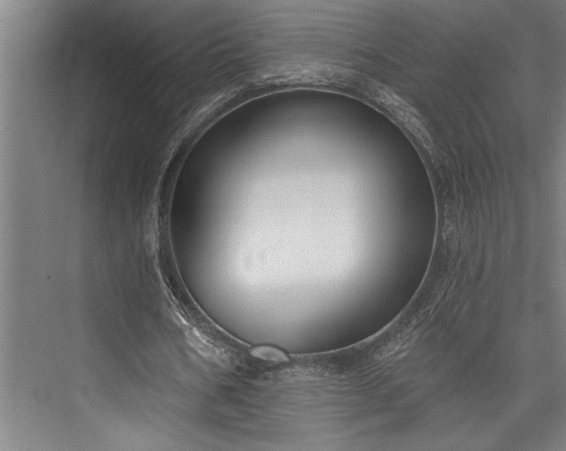 X0000076400578200610061219