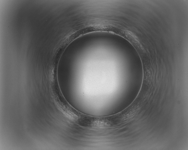 X0000076400596200610061219