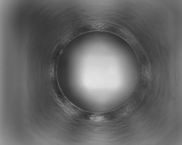 X0000076400602200610061219