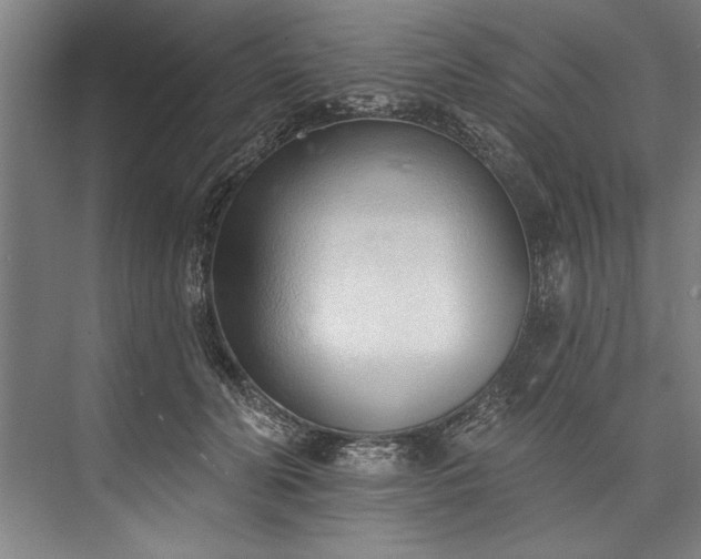 X0000076400606200610061218