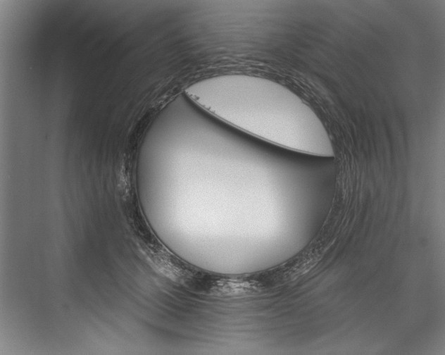 X0000076400607200610061218