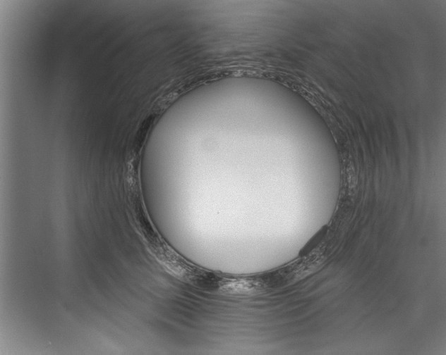 X0000076400611200610061218