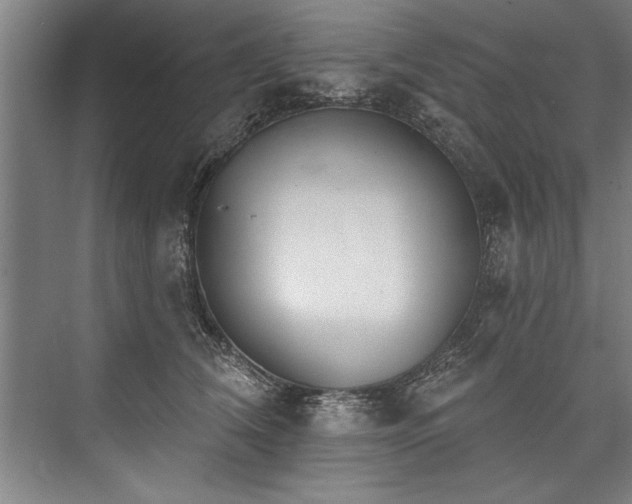 X0000076400612200610061218