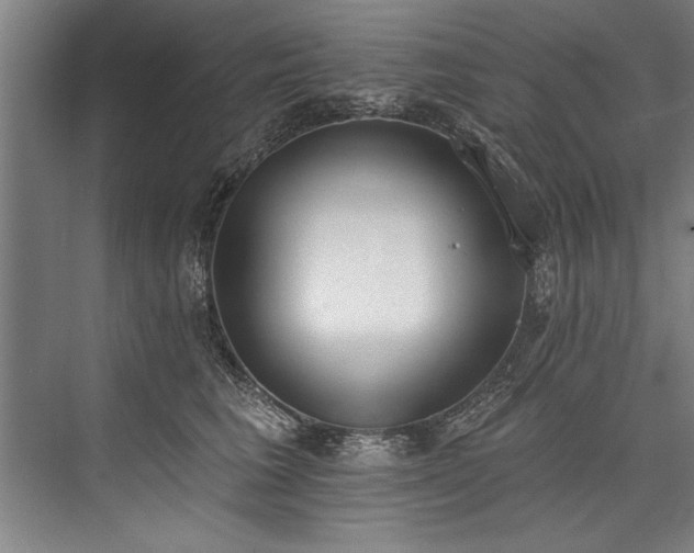 X0000076400613200610061218