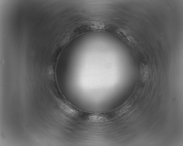 X0000076400614200610061218