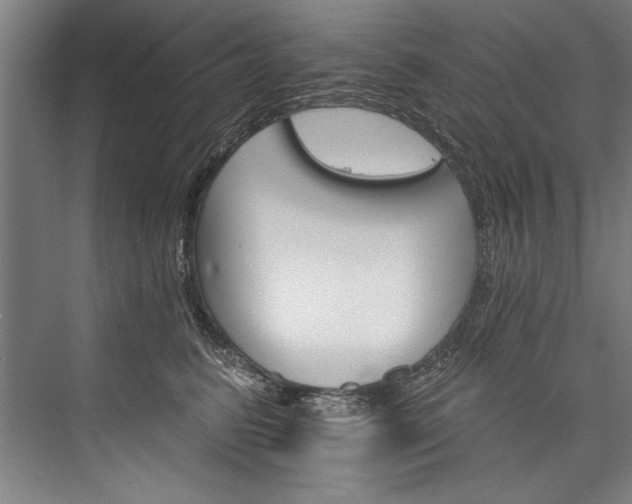 X0000076400615200610061218