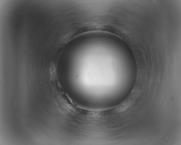 X0000076400624200610061218