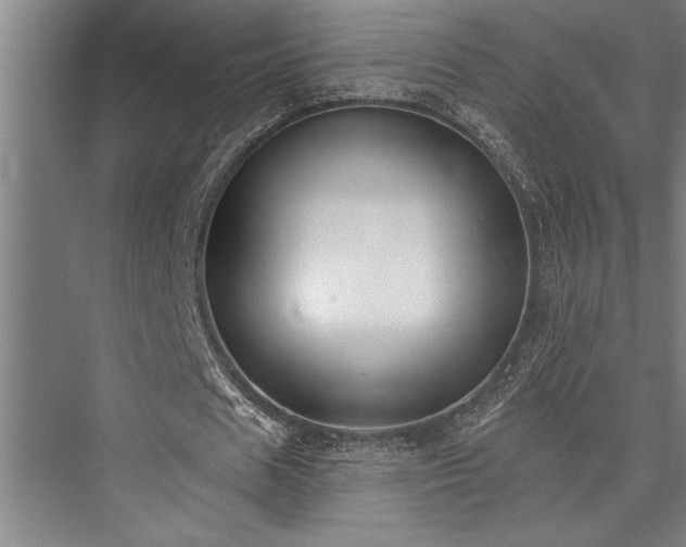 X0000076400625200610061217