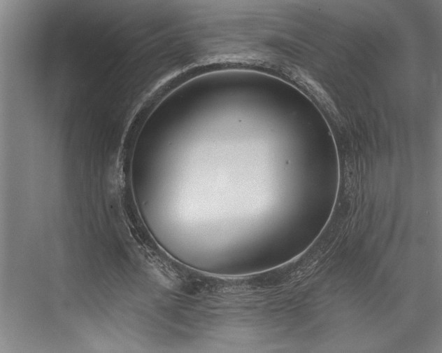 X0000076400628200610061217