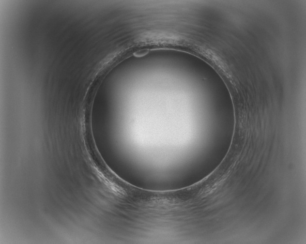 X0000076400629200610061217