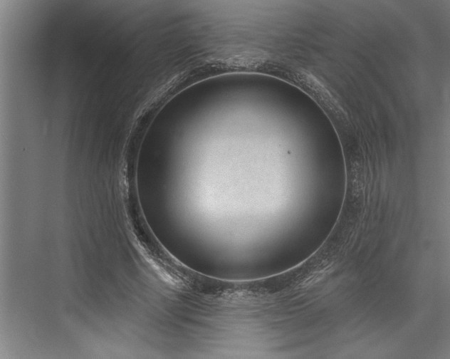 X0000076400634200610061217