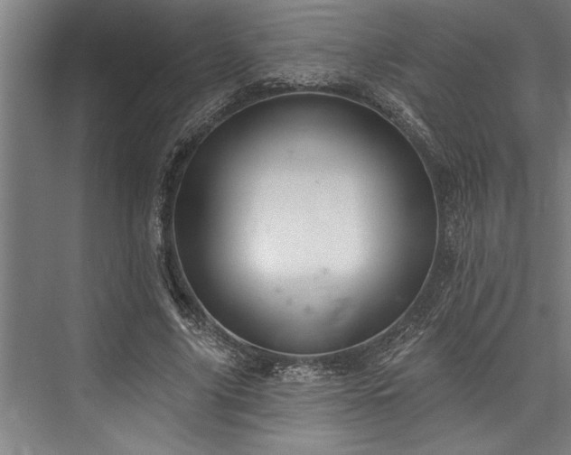 X0000076400635200610061217