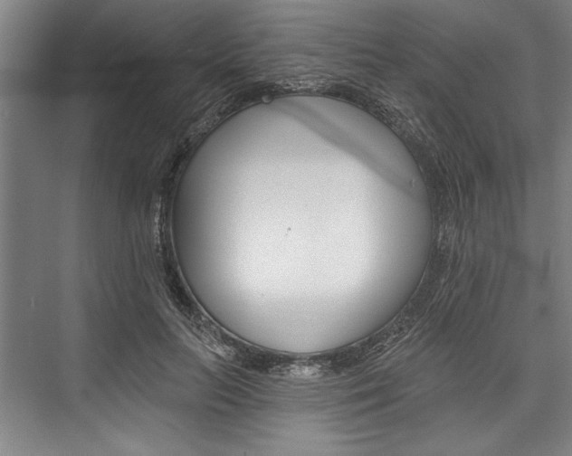 X0000076400647200610061218