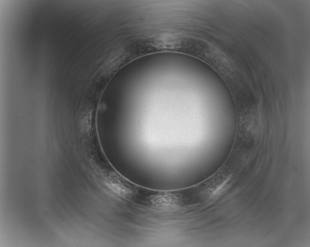 X0000076400652200610061218
