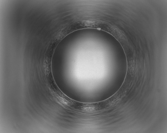 X0000076400653200610061218