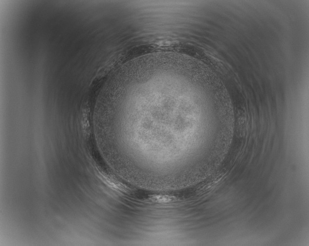 X0000076400654200610061218