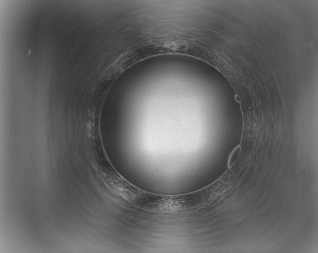 X0000076400656200610061218