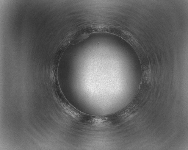 X0000076400662200610061218